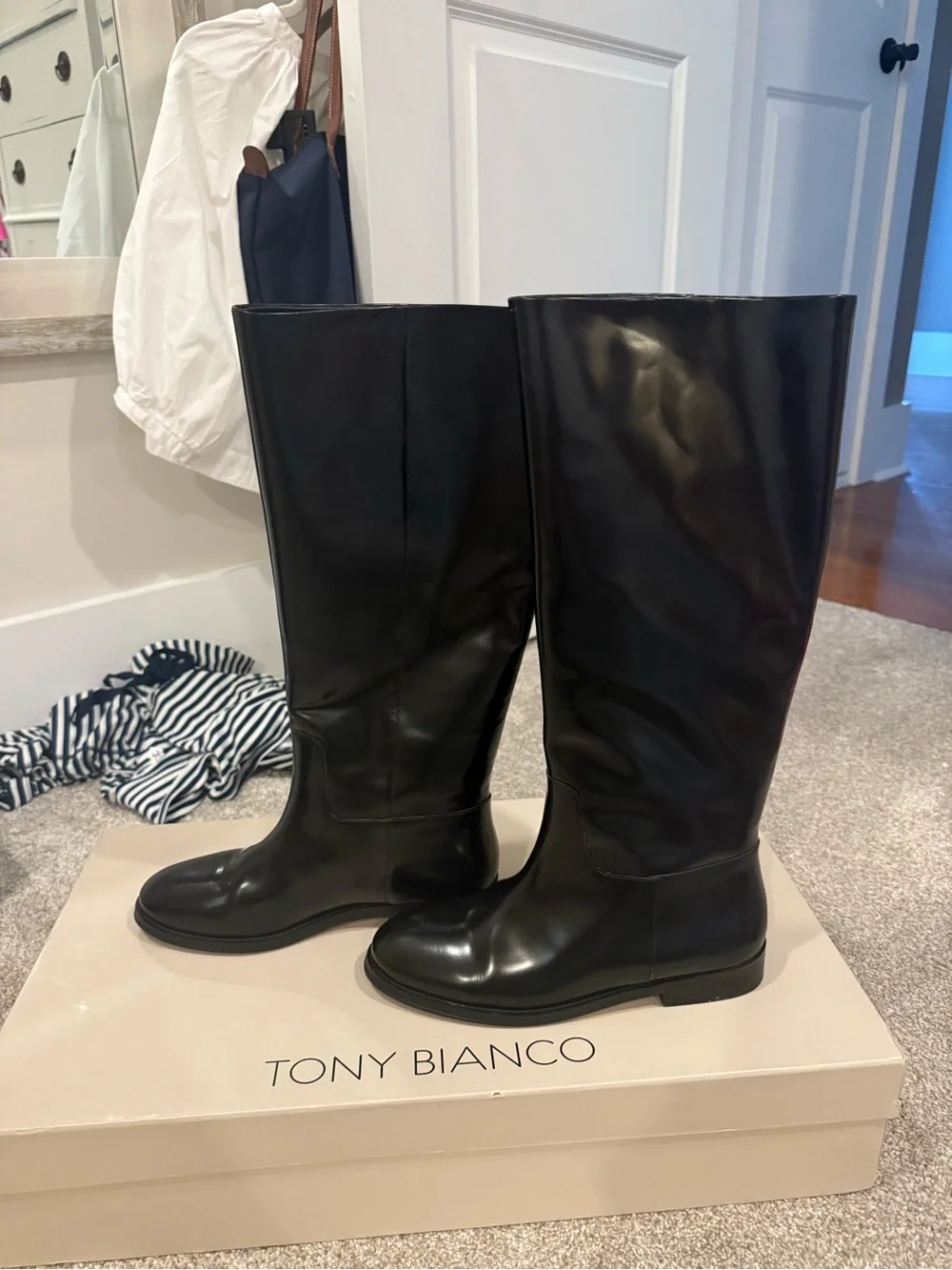 Tony Bianco Hi Gloss Grange Riding Boots